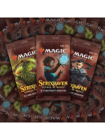 Gra karciana Magic: The Gathering Strixhaven - Draft Booster (15 kart)
