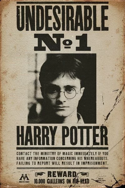 Plakat Harry Potter - Undesirable No 1