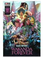 Plakat Marvel: Black Panther: Wakanda Forever - Komiks