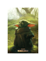 Plakat Star Wars: The Mandalorian - The Child