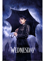 Plakat Wednesday - Parasol