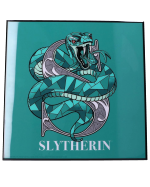 Obraz Harry Potter - Slytherin Crystal Clear Art Pictures (Nemesis Teraz)